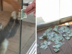 Meet Sir Whines-A-Lot, Who Steals Money For The Homeless