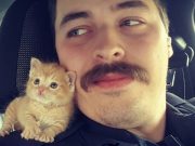 Cop Rescues Kitten Left In The Rain And Now They’re Fighting Crimes Together