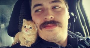 Cop Rescues Kitten Left In The Rain And Now They’re Fighting Crimes Together